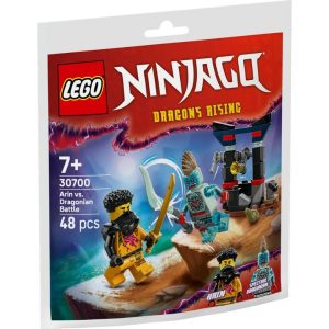 LEGO Ninjago 30700 Arin ve Dragonian Savaşı