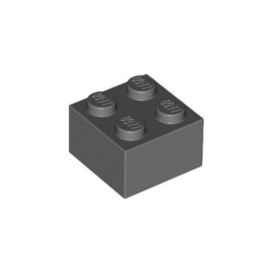 LEGO 3003 Brick 2 x 2 (Dark Bluish Gray)