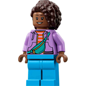 LEGO Super Heroes sh1139 Hotdog Vendor